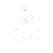 DataSoft FinTech icon